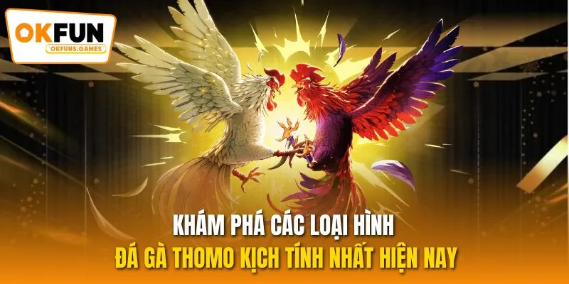 Khám phá các loại hình đá gà Thomo kịch tính nhất hiện nay